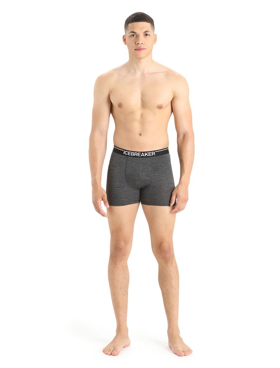 Sous Vêtement Icebreaker Merino Anatomica Boxers Homme Noir Grise | FR 1316MQZA